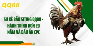 Sư Kê Bảo Siting QQ88, Hành Trình Hơn 20 Năm Và Dấu Ấn CPC