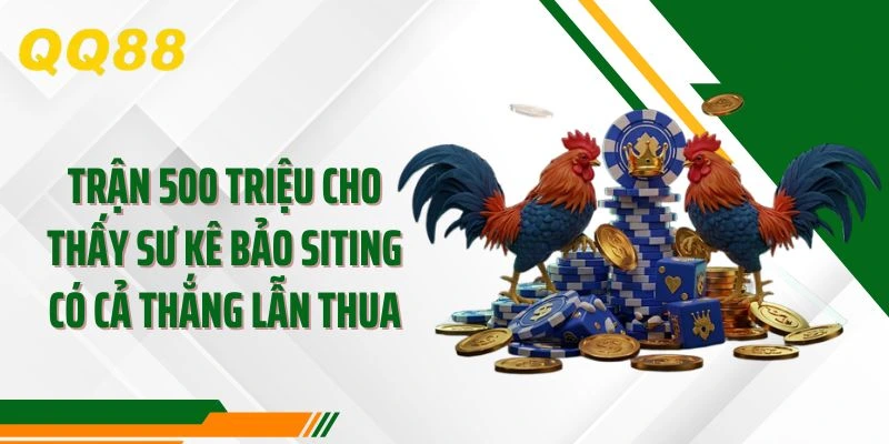 Trận 500 triệu cho thấy sư kê Bảo Siting có cả thắng lẫn thua